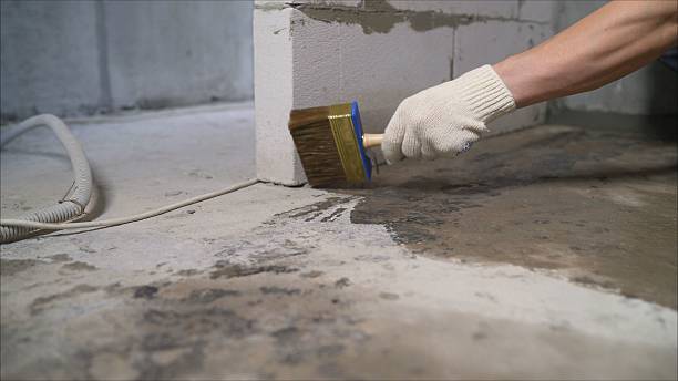 24/7 Emergency Crawl Space Encapsulation experts in Newton, NC